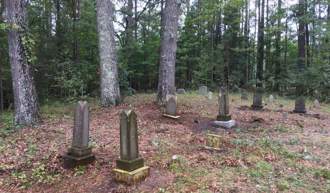 leigh farm park photo 3