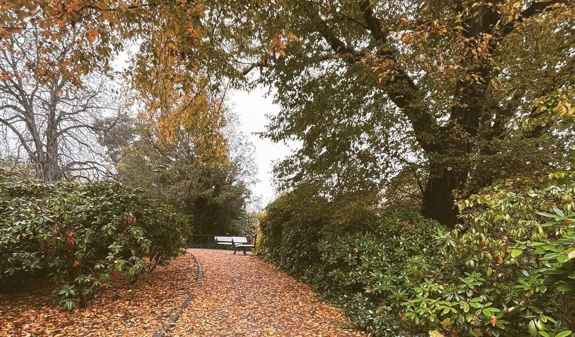 kurpark wiesbaden photo 10