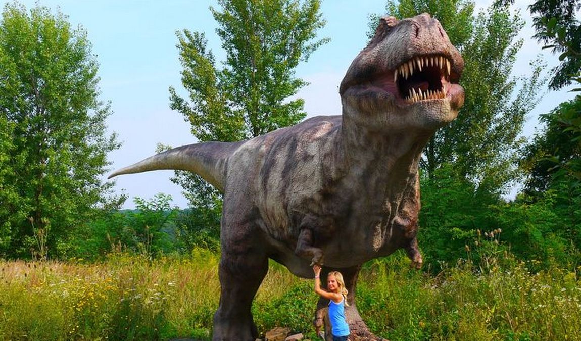 dinopark ostrava photo 1