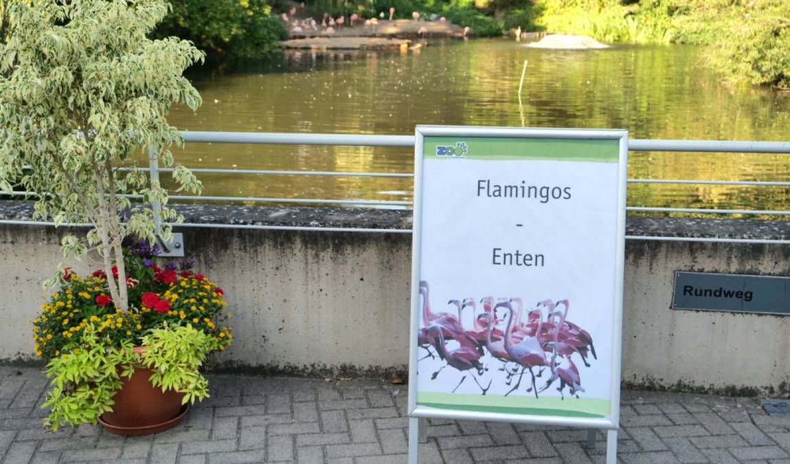 saarbrücken zoo photo 3