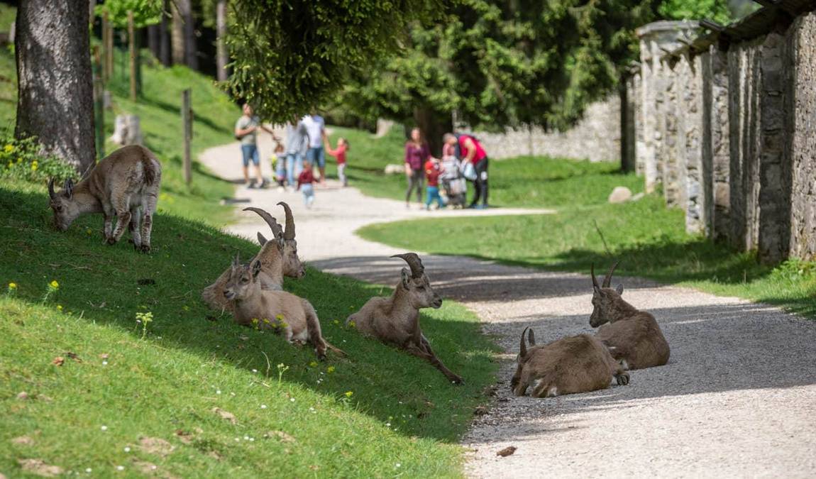 tierpark rosegg photo 4
