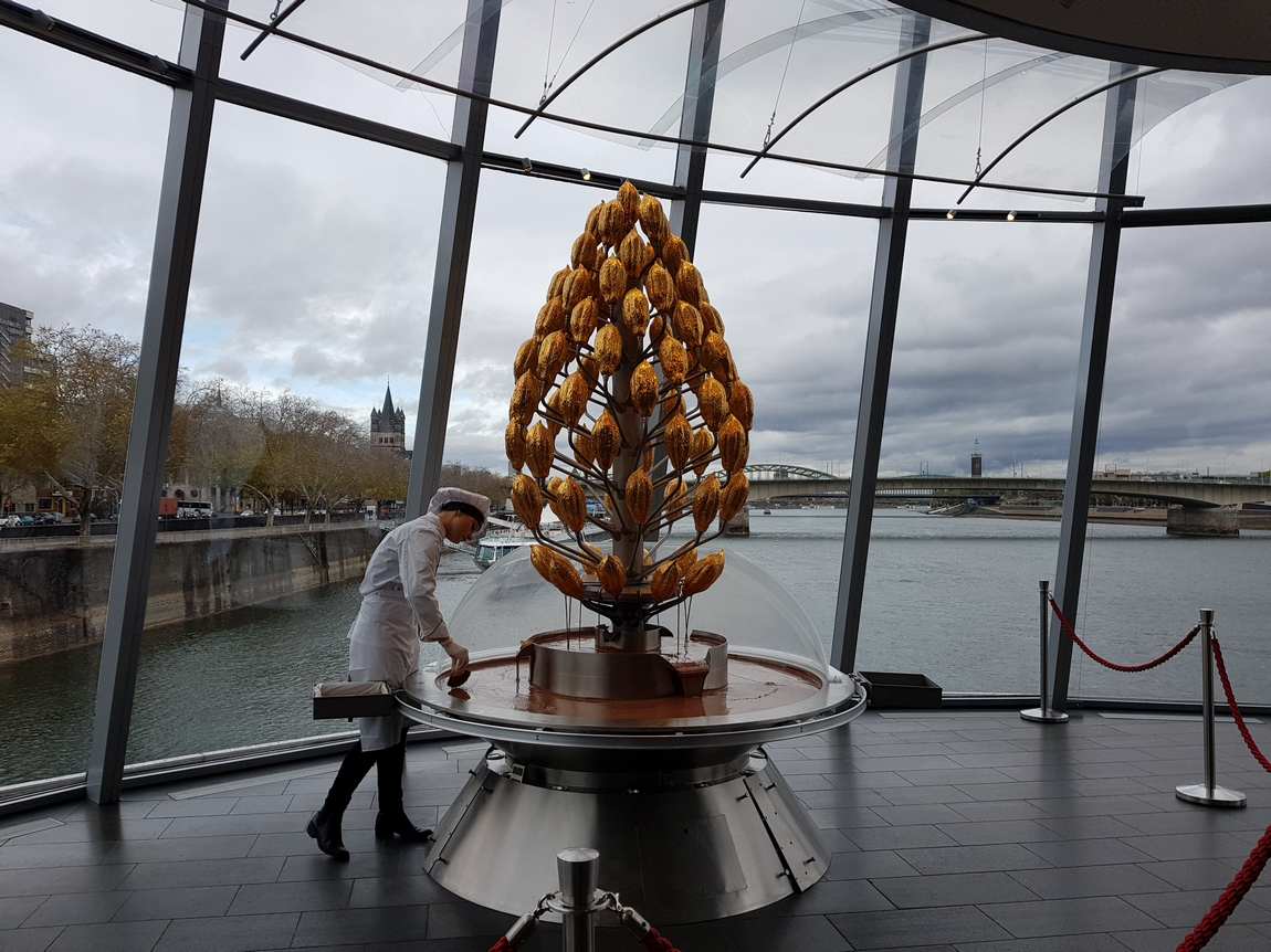 chocolate museum photo 10