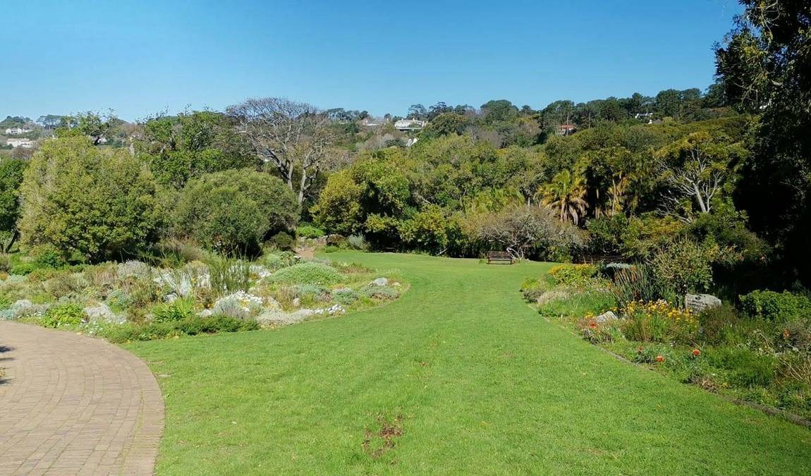leipzig botanical garden photo 1