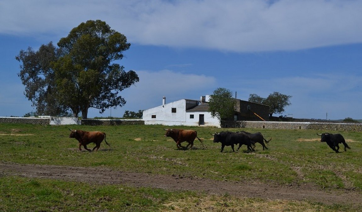 les visites du campo bravo photo 2