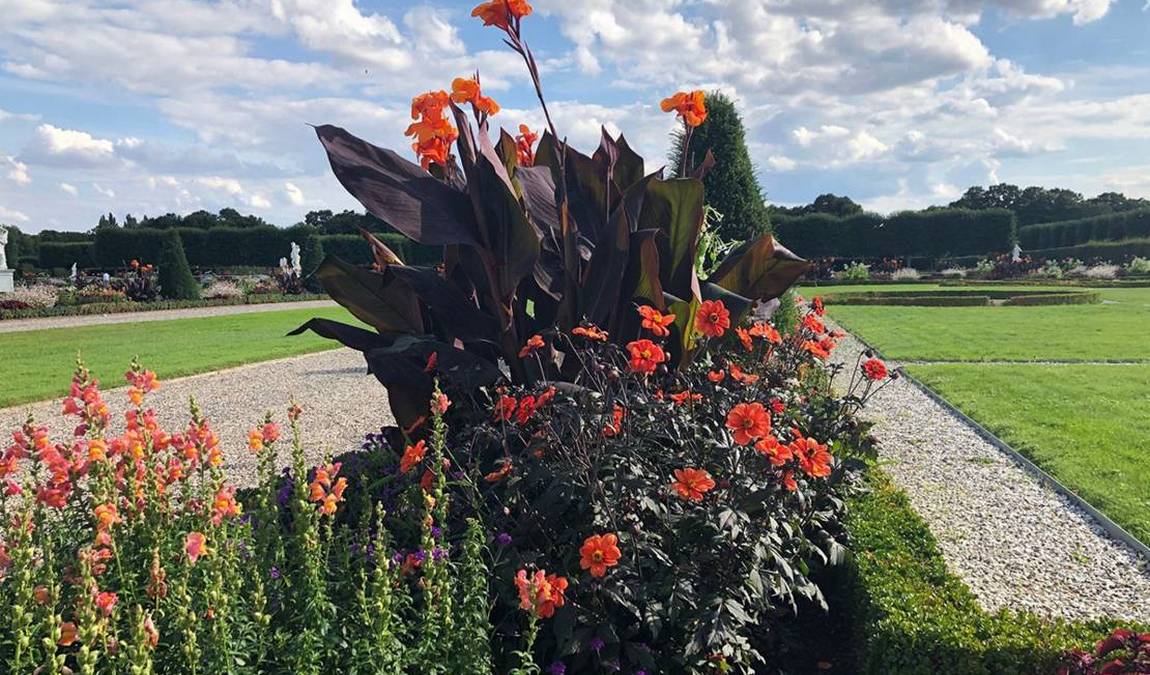 botanical garden berggarten photo 2