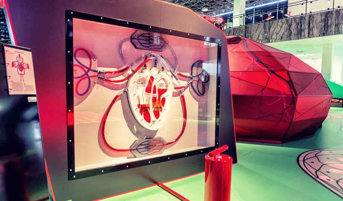 vida! science centrum photo 5