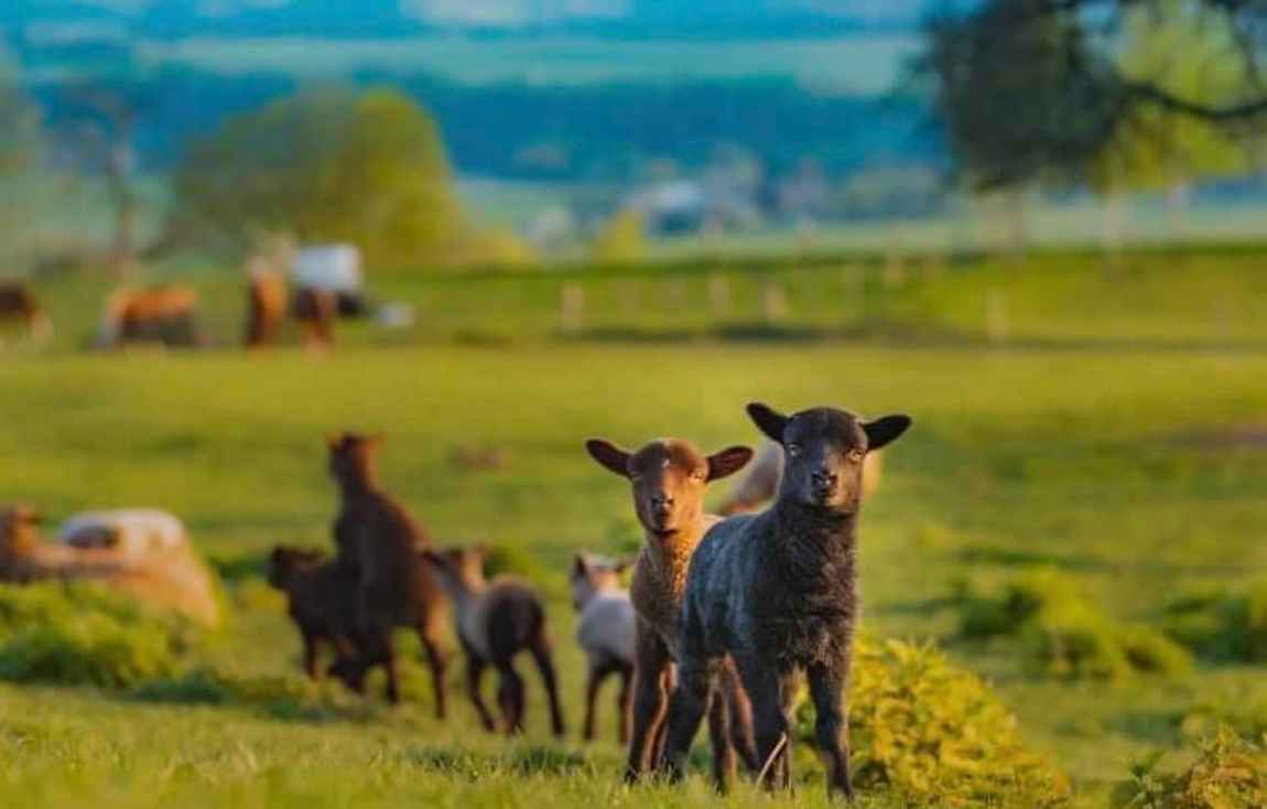 otakarova farma photo 1