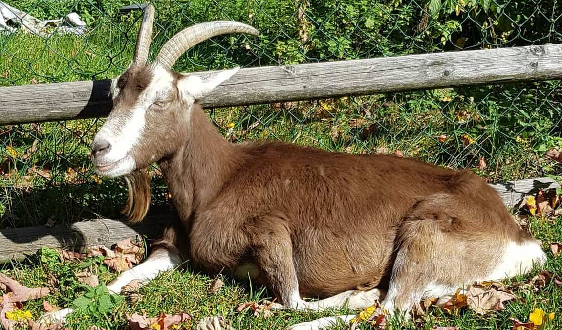 child and youth farm neuaubing photo 1