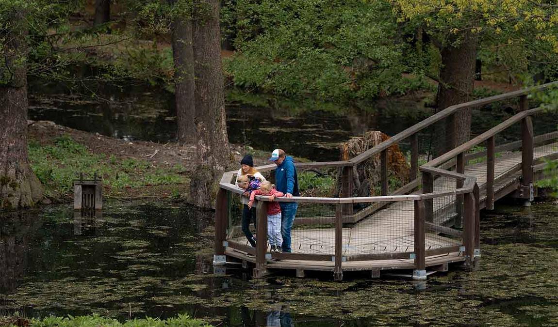 obora linhart photo 1