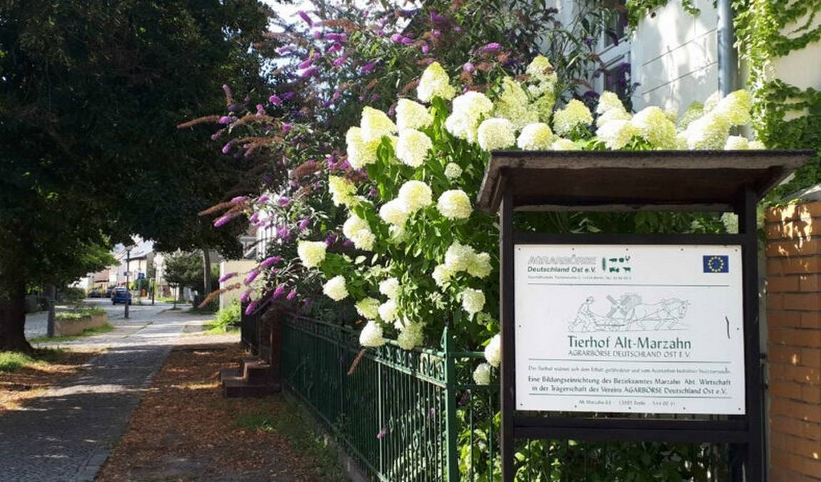 animal farm alt-marzahn photo 3