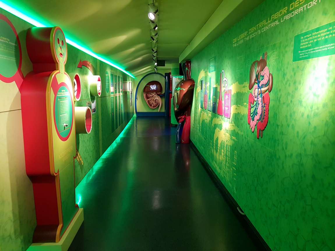 house of nature photo 10