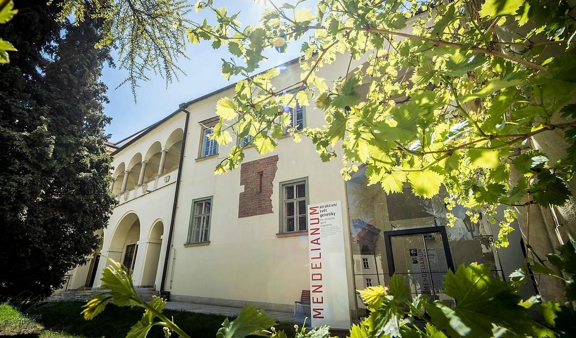 mendel museum photo 7