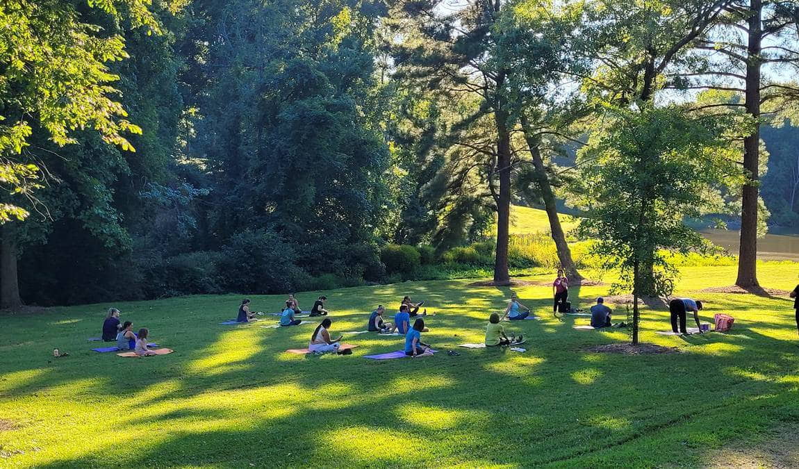 country park photo 6