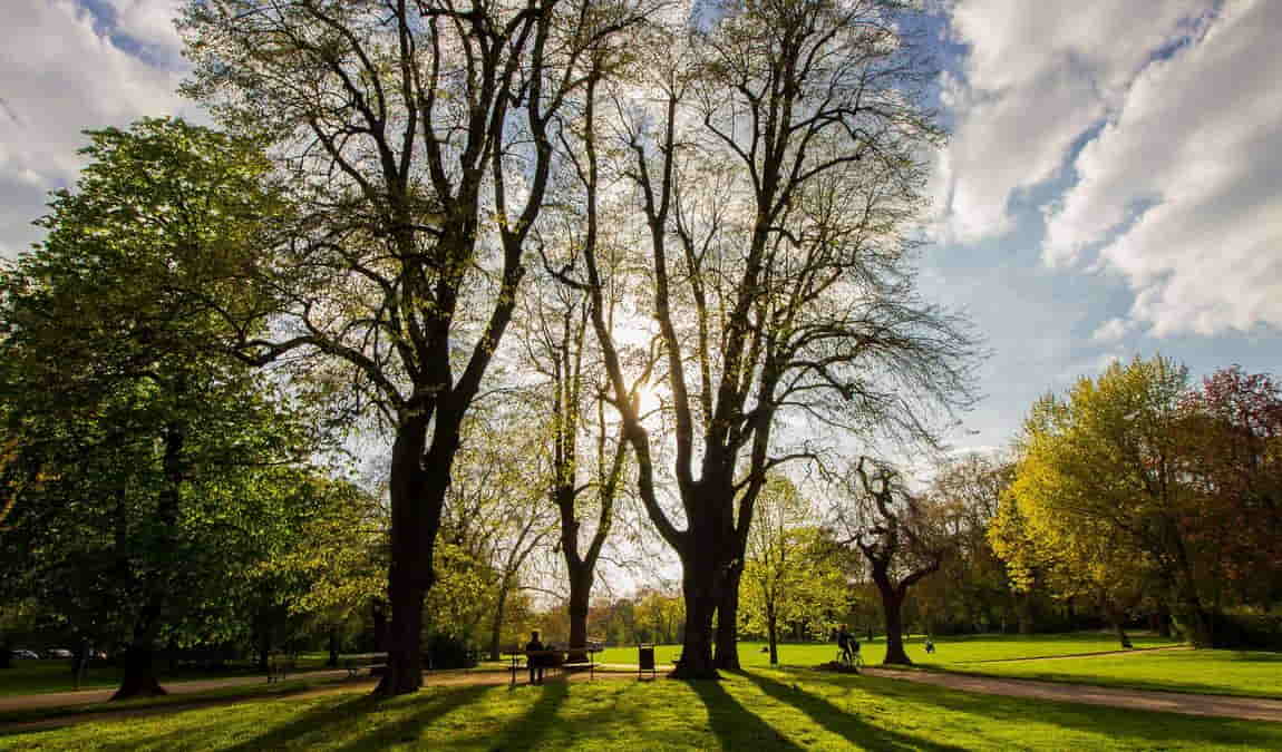 clara-zetkin park photo 1