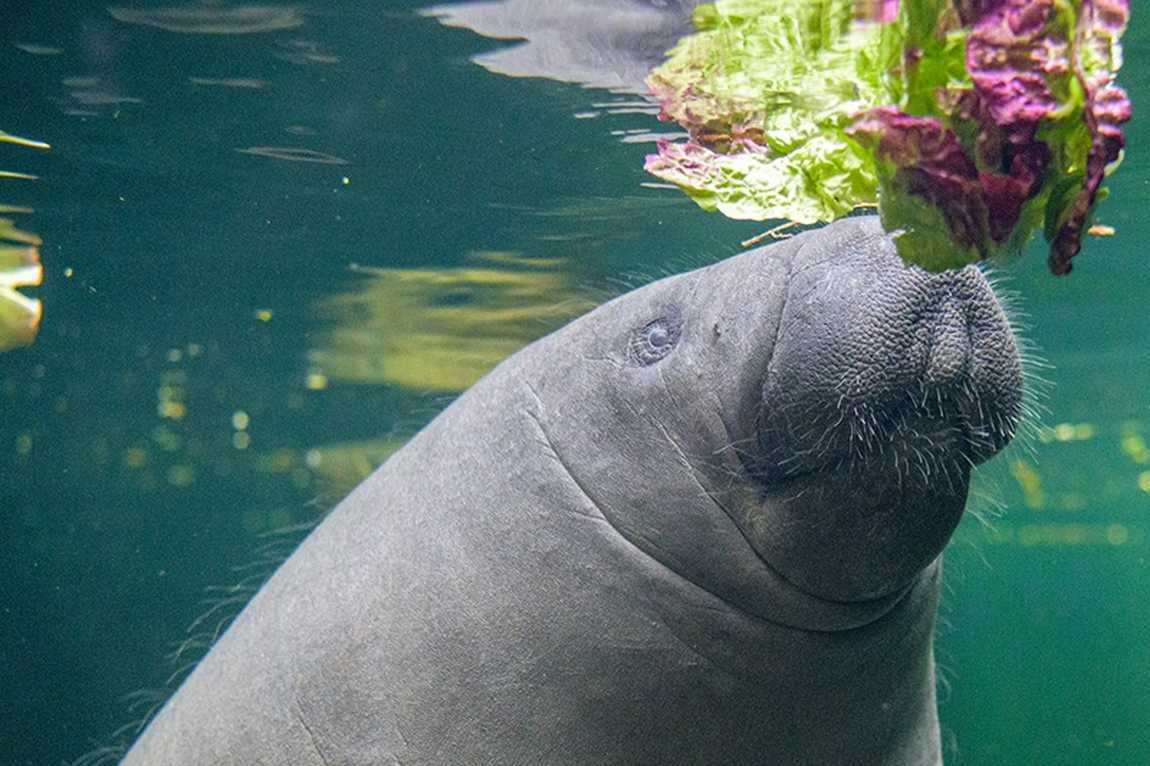 duisburg zoo photo 5