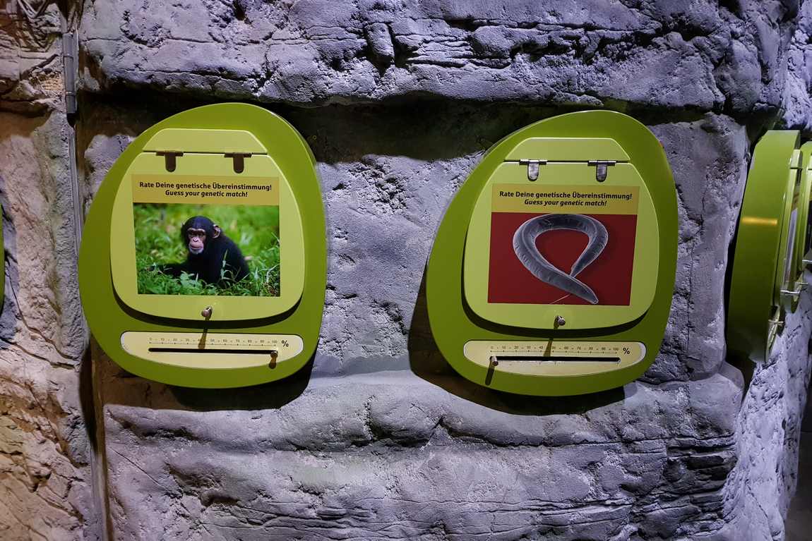 odysseum museum photo 6