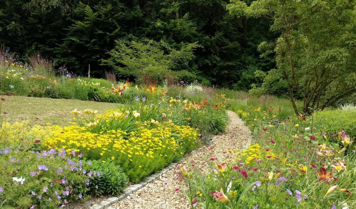 botanical garden of the university of ulm photo 3