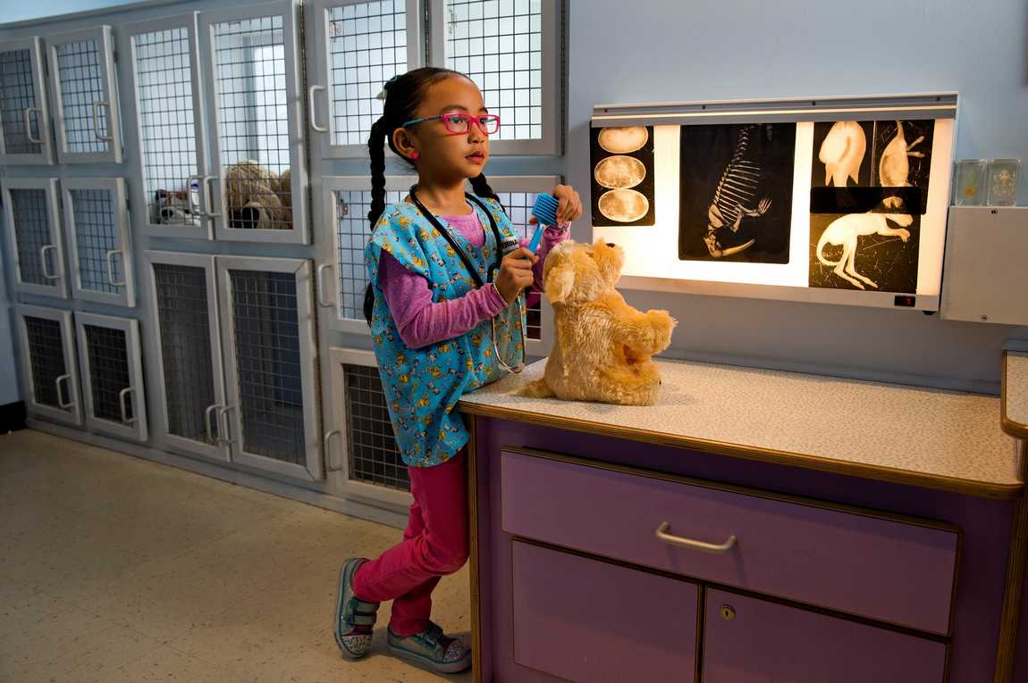 discovery place kids-huntersville photo 5