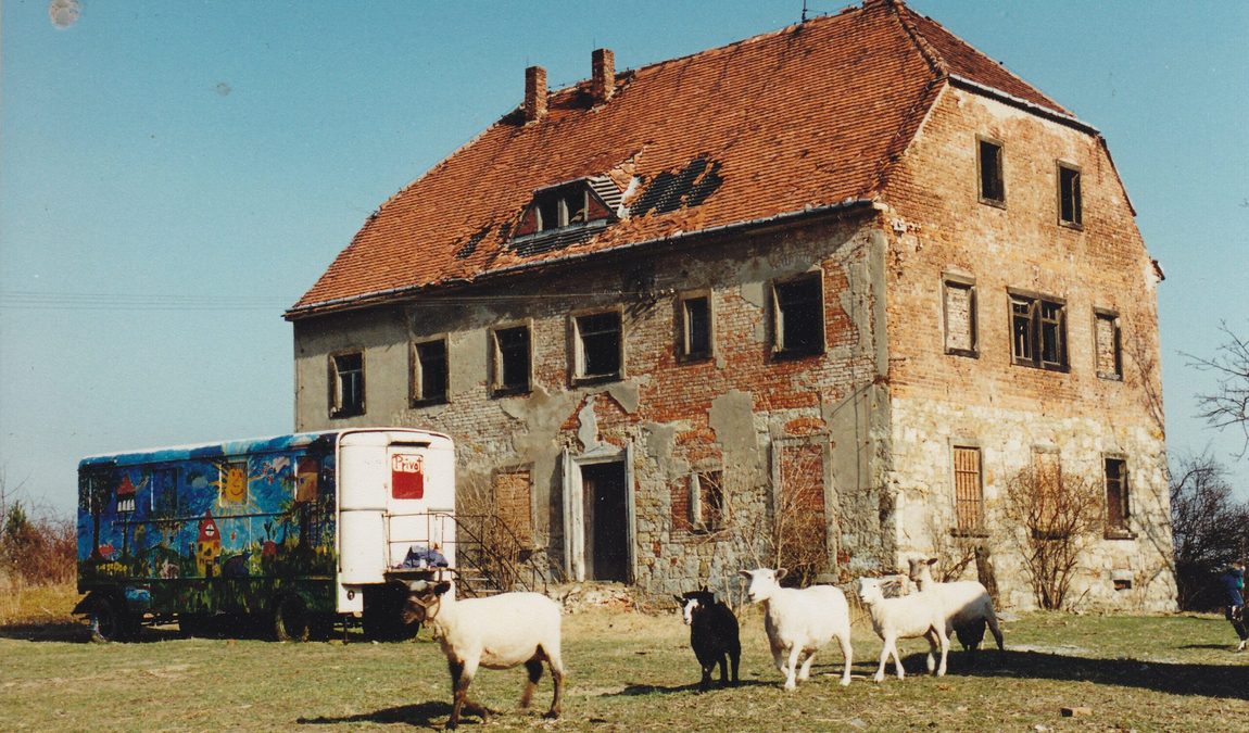 child and youth farm nickern photo 5