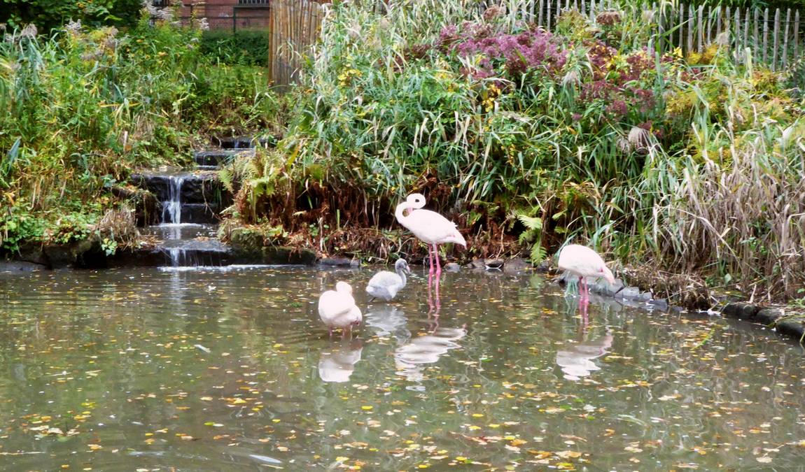 roehrensee animal park photo 7