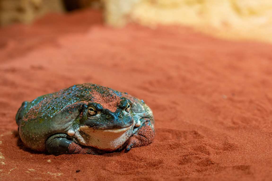 house of the sea photo 4