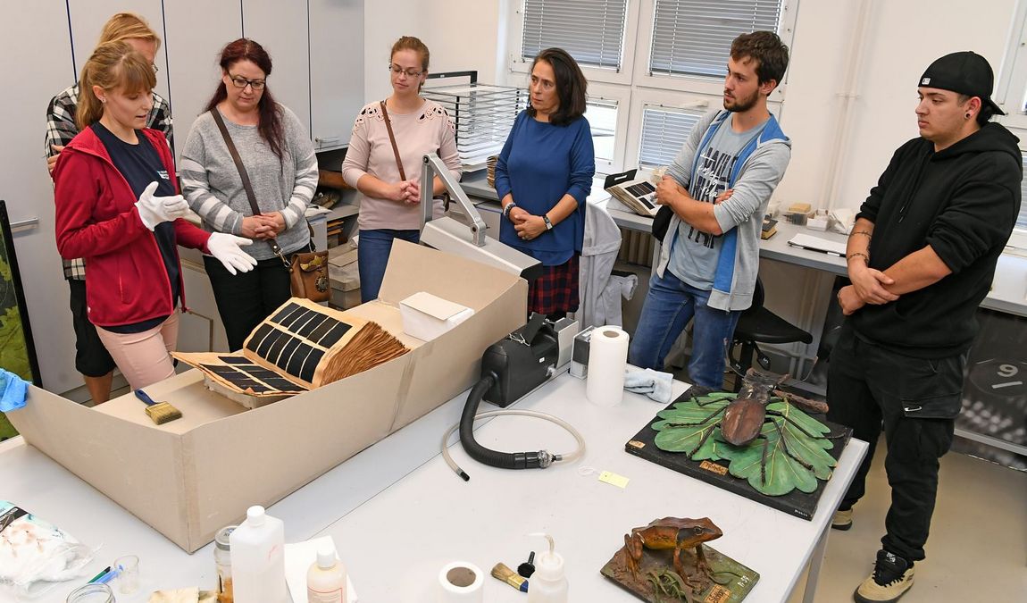 brno technical museum photo 8