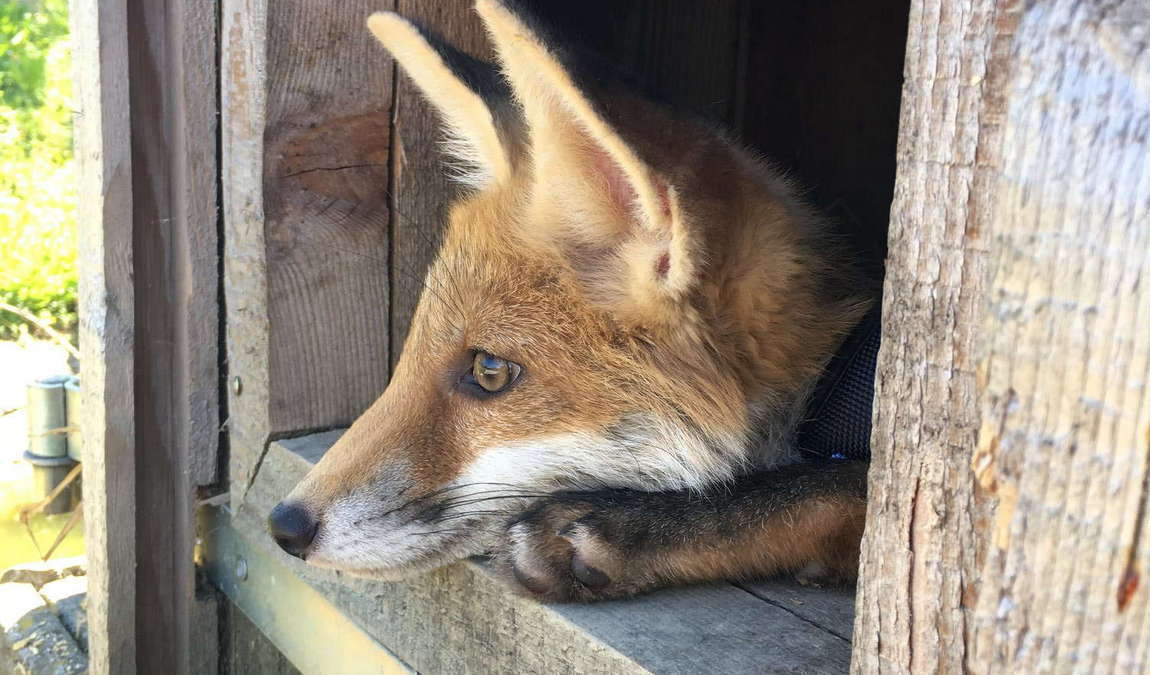 nature and adventure park buchenberg photo 1