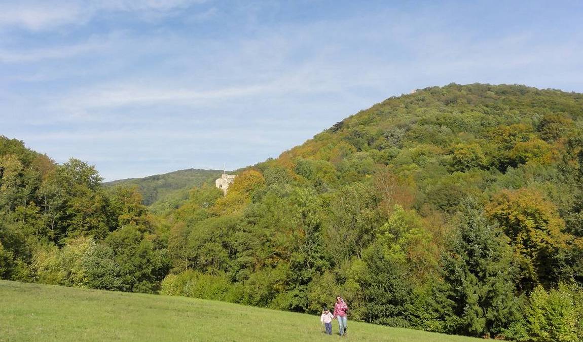 nature park sparbach photo 1