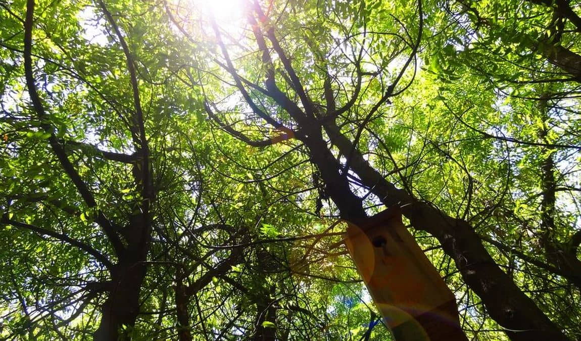 ecological farm finca el carretón photo 5