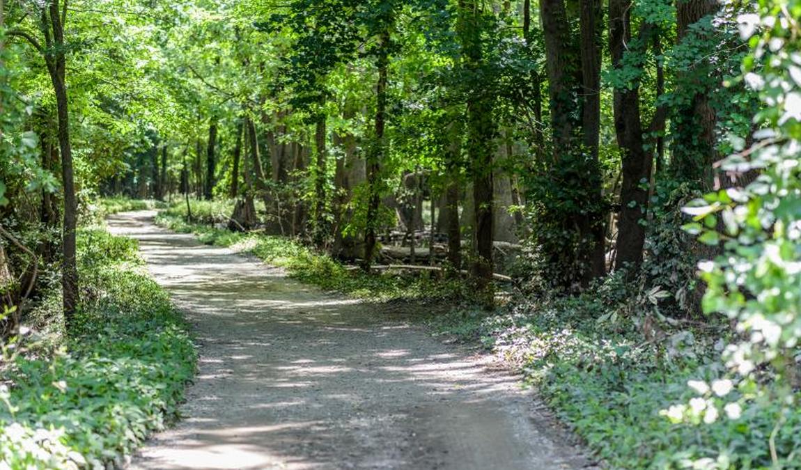 river park north photo 9