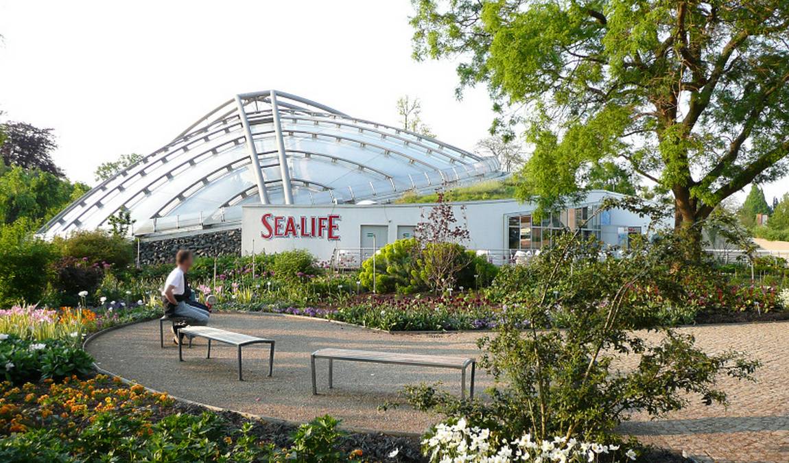 botanical garden berggarten photo 4