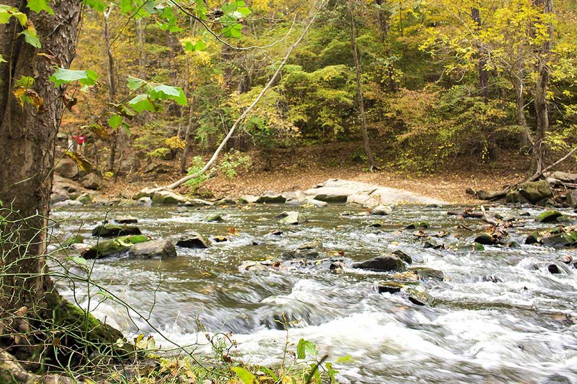 william b. umstead state park photo 4