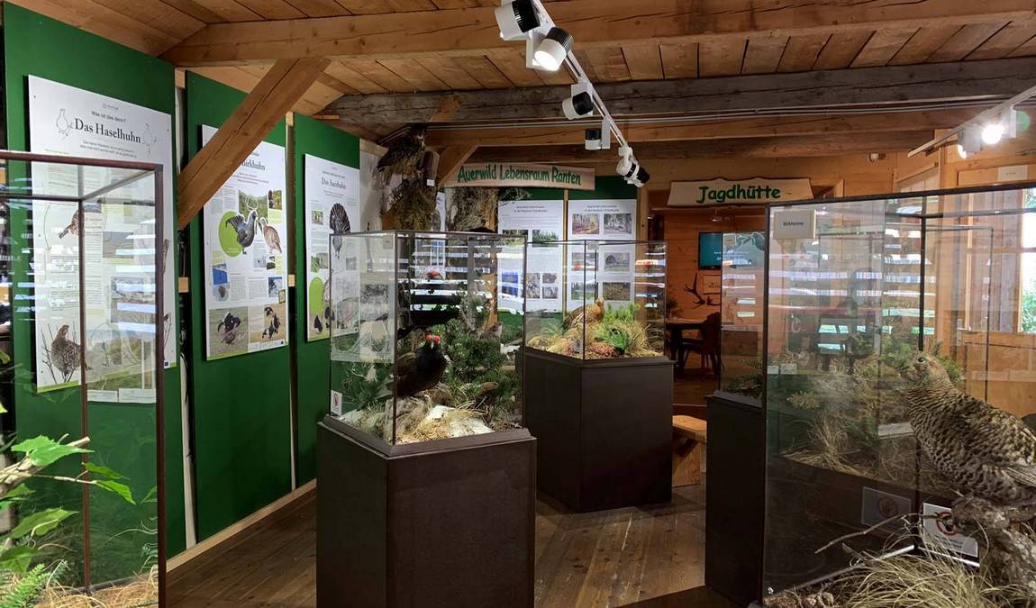 naturmuseum salzkammergut photo 2