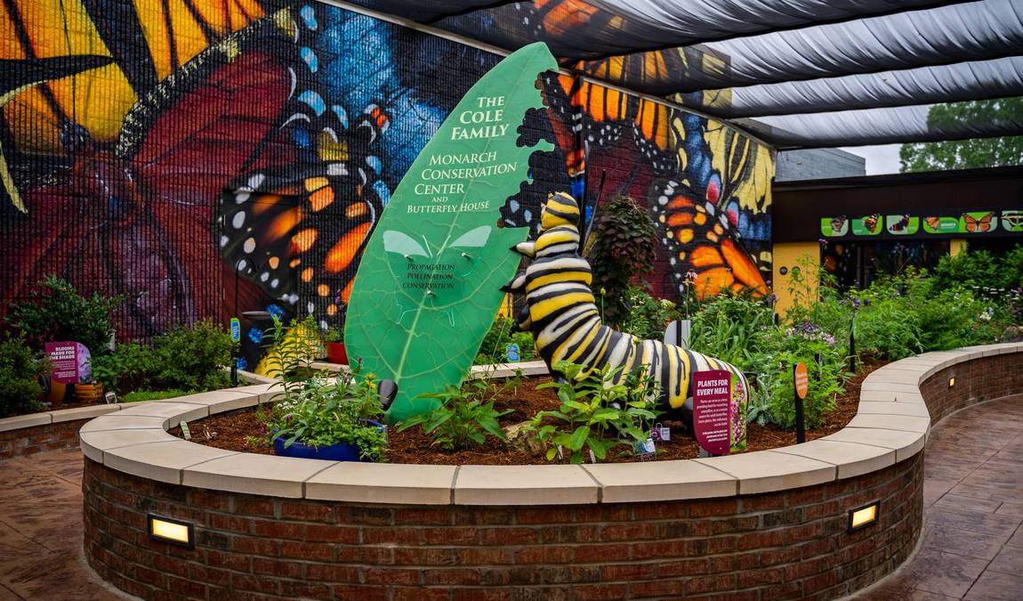 cole family monarch conservation center & butterfly house photo 2