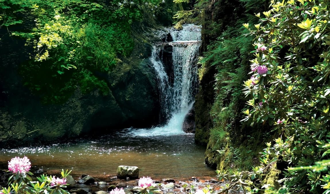 geroldsau waterfall photo 1