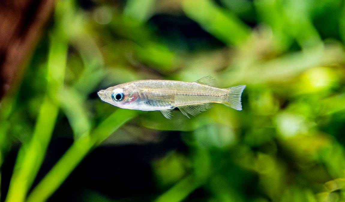 dortmund zoo photo 4