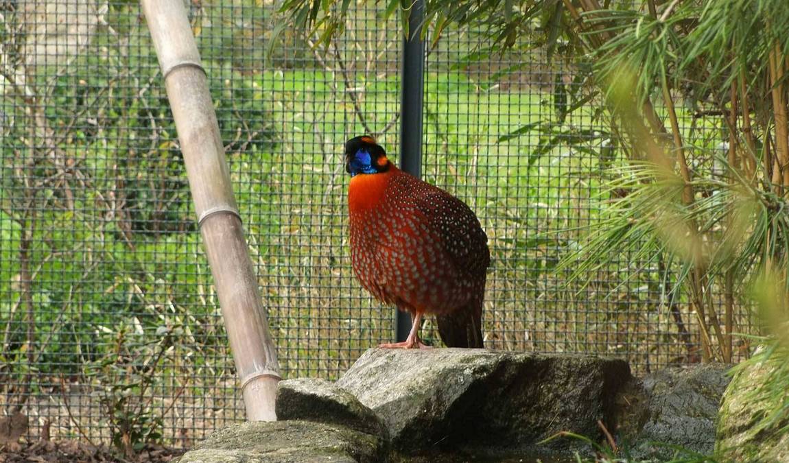 roehrensee animal park photo 2