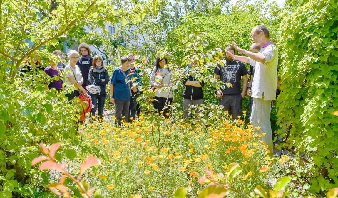 leipzig botanical garden photo 8