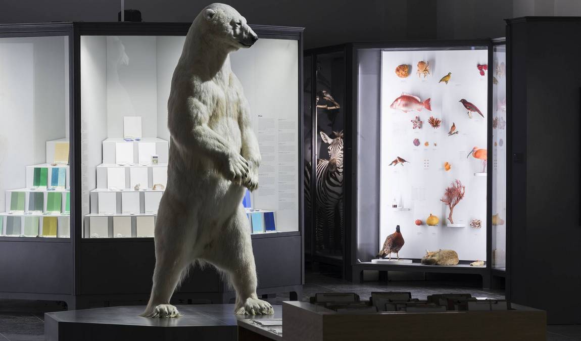 museum wiesbaden photo 3