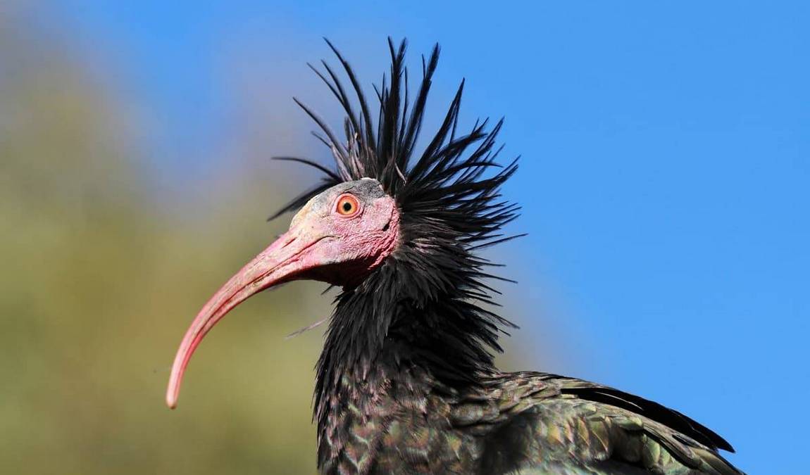 tierpark rosegg photo 2