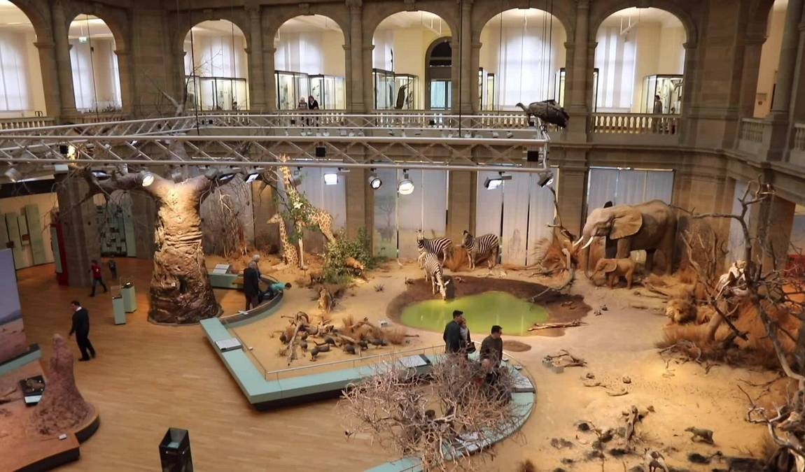 museum koenig photo 3