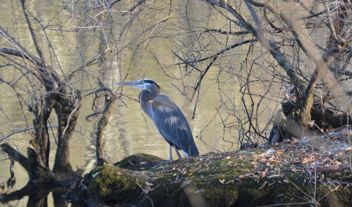 the walter l. stasavich science & nature center photo 1