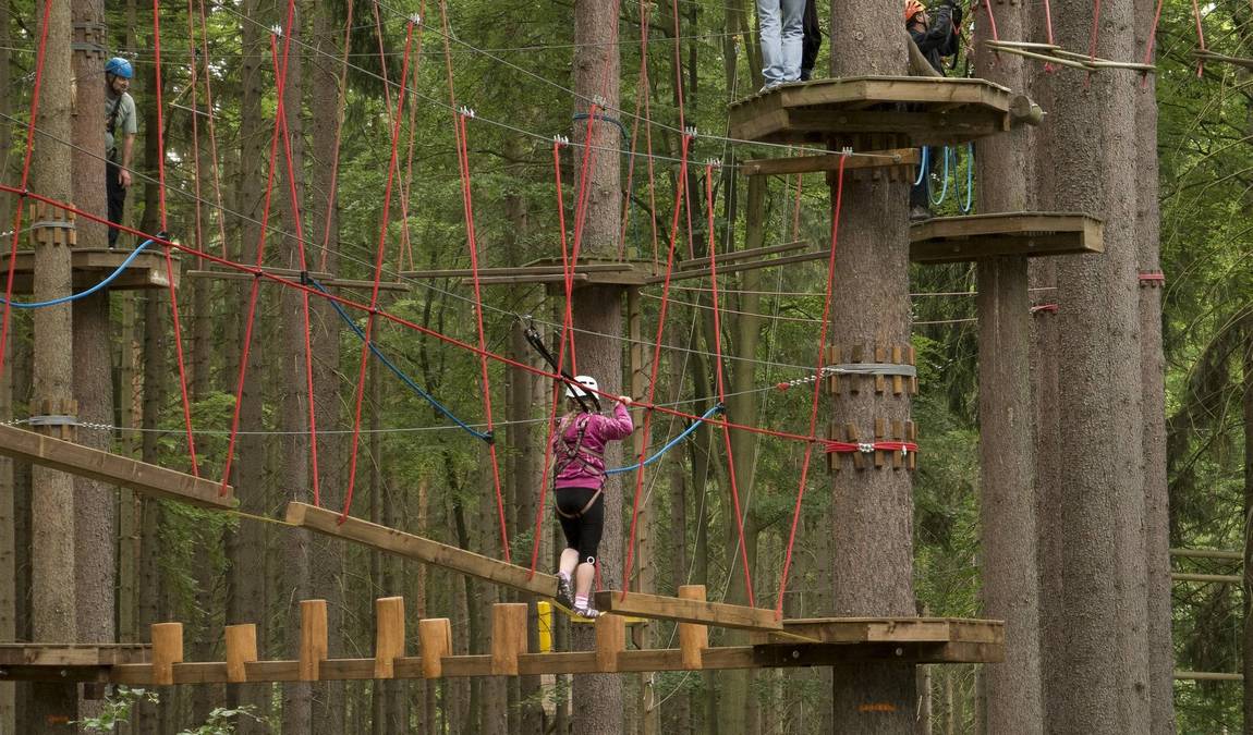 obora linhart photo 3