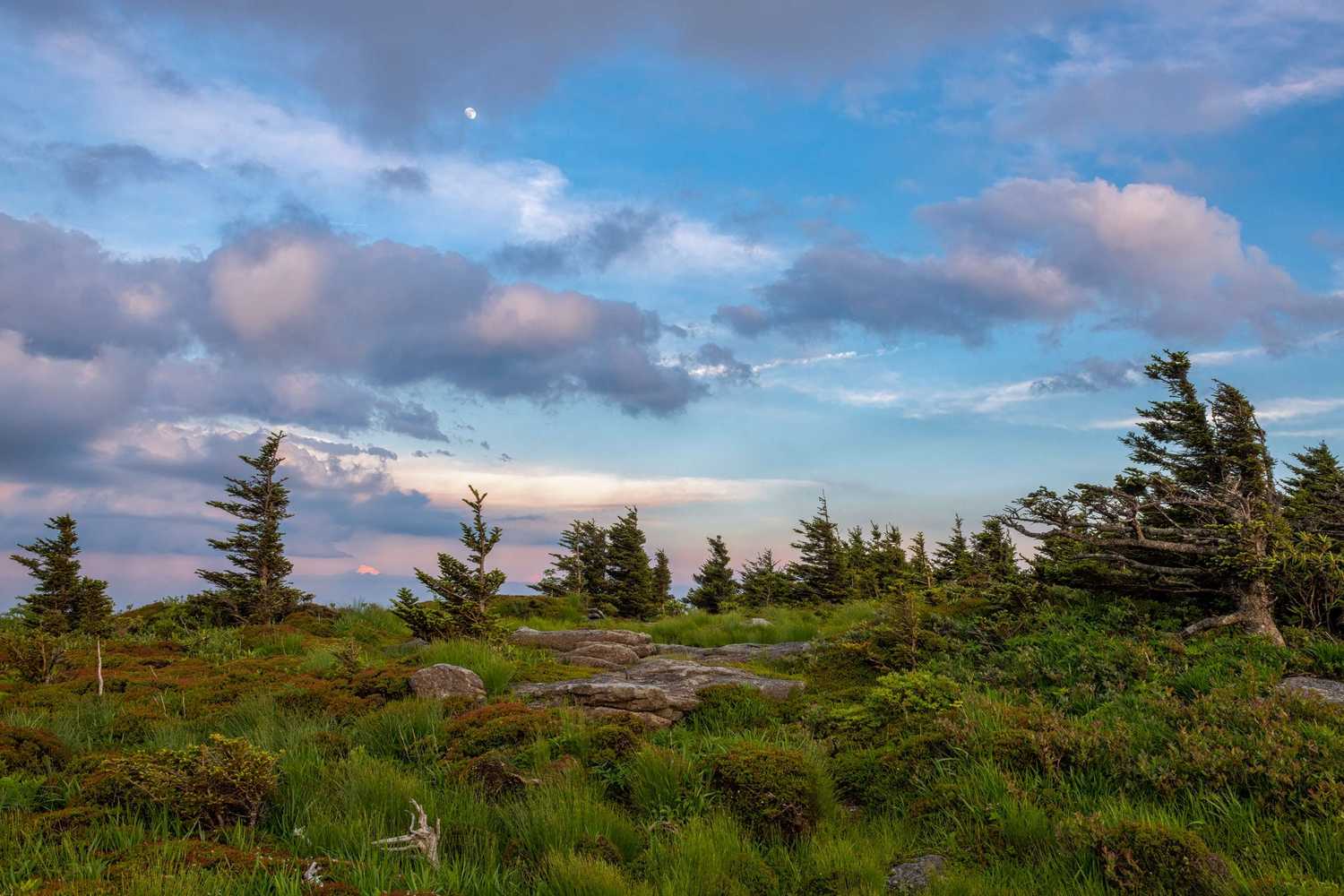 grandfather mountain photo 4