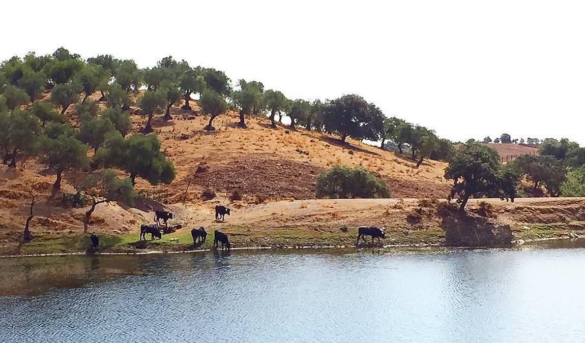 les visites du campo bravo photo 6