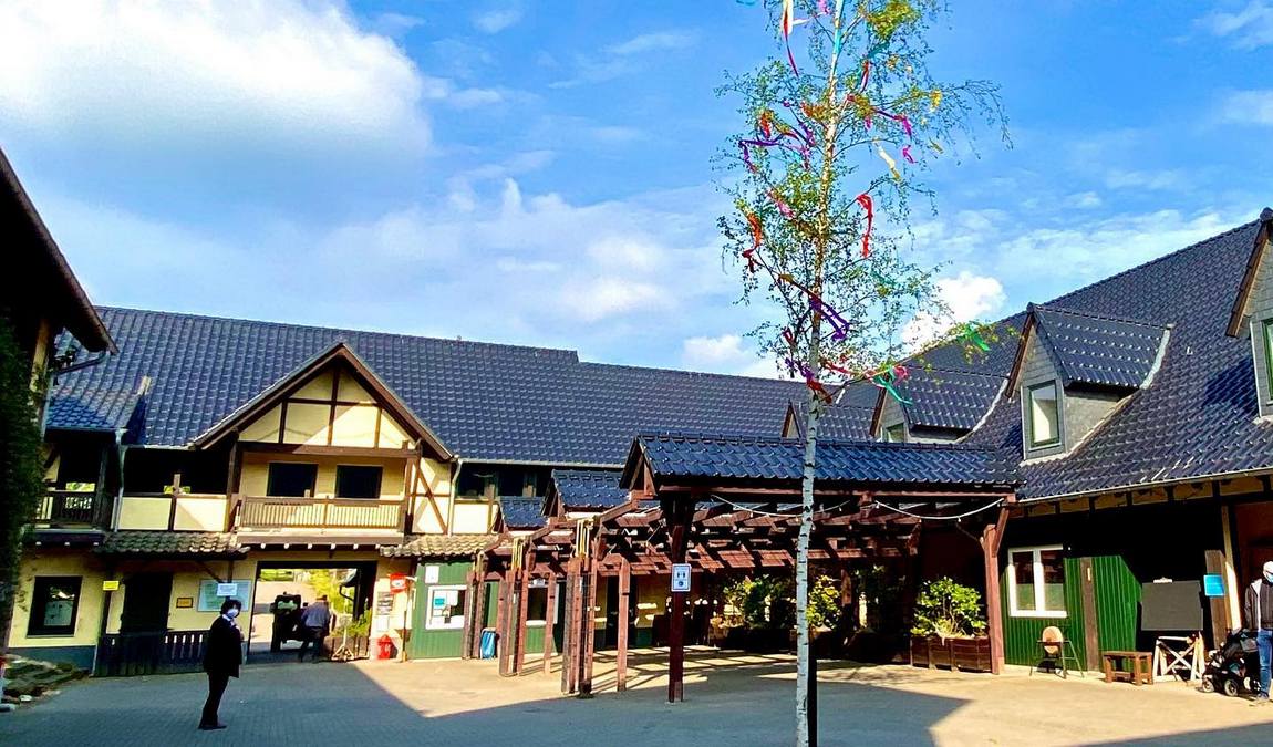 glessener mühlenhof photo 5