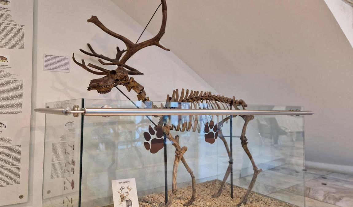 anthropos pavilion photo 8