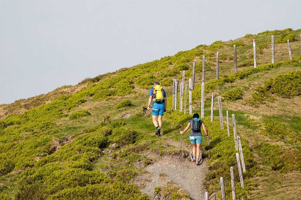 bio bauernhof tobhartbauer farm photo 5
