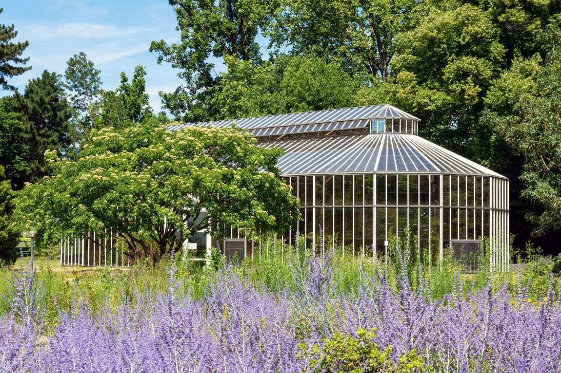 palmengarten photo 2