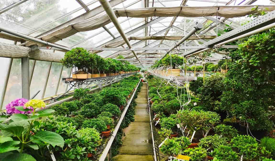 botanical garden of the faculty of science - masaryk university photo 6